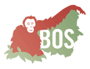 Borneo Orangutan Survival Foundation