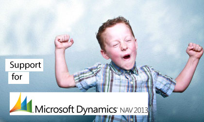 msdynamicsnav2013support