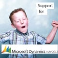 support for MS Dynamics NAV 2013