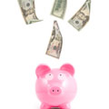 Money Pig