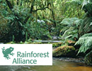 Rainforest Alliance
