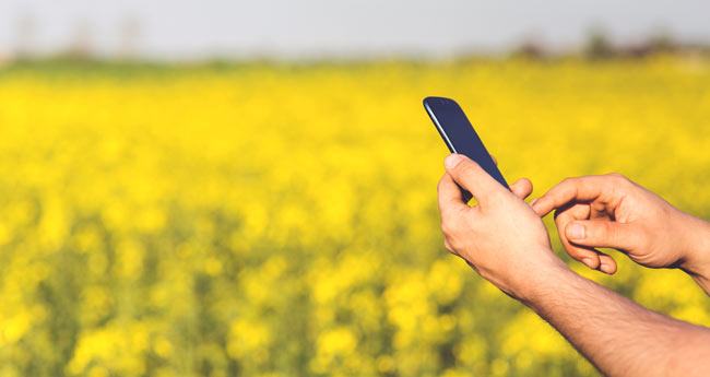 how to create nav sales orders using web services