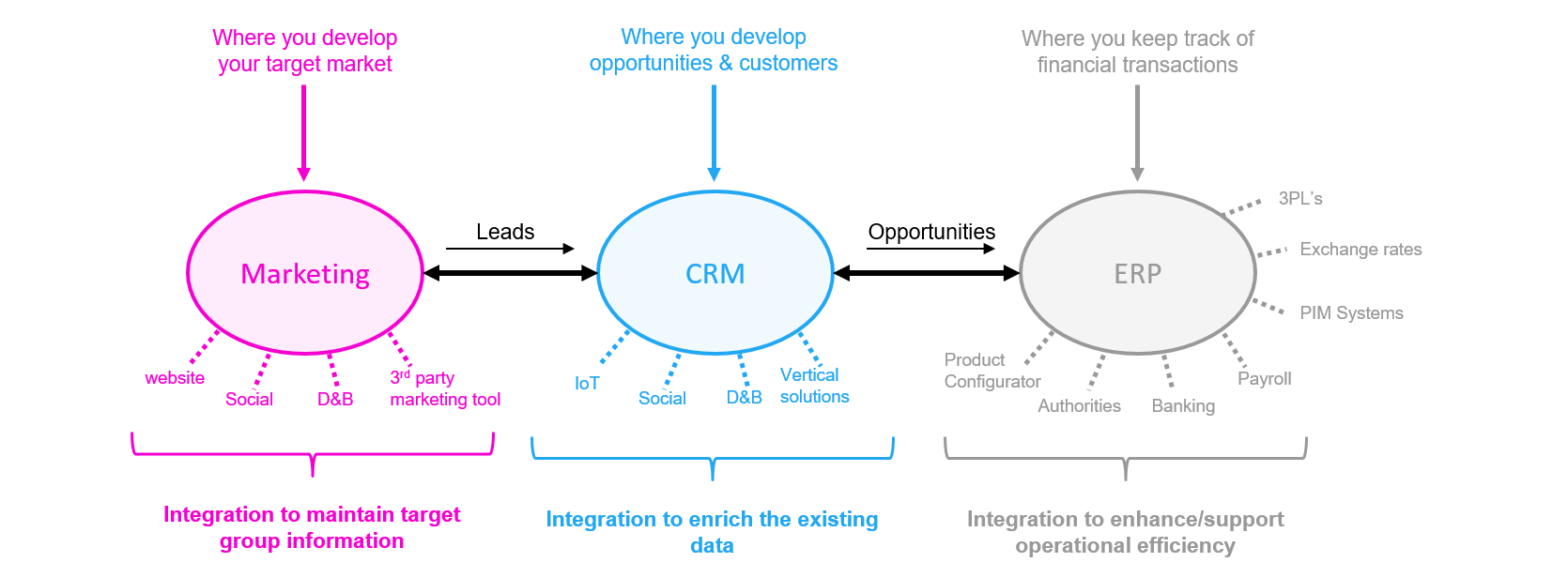 Flexible CRM integration solutions by Rapidi coordinate the cogs of your company so you can speed toward enriched data, better decisions, and higher profits.