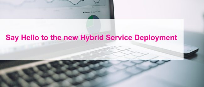 Hybrid Service Installation - the Best of On-Demand and On-Premise