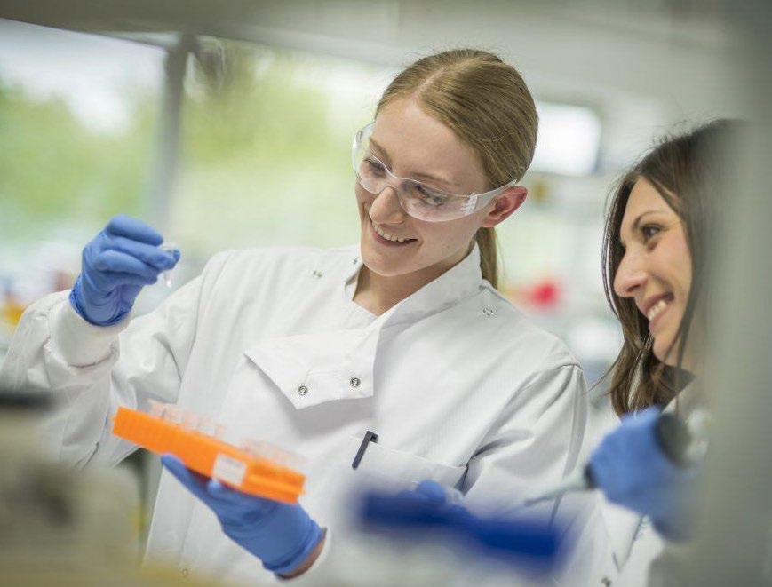Two scientists in a laboratory examining a rack of sample tubes