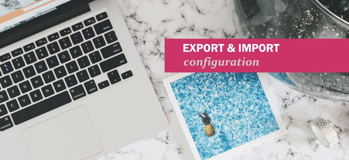 New Feature: Export and import RAPIDI configuration - JSON format