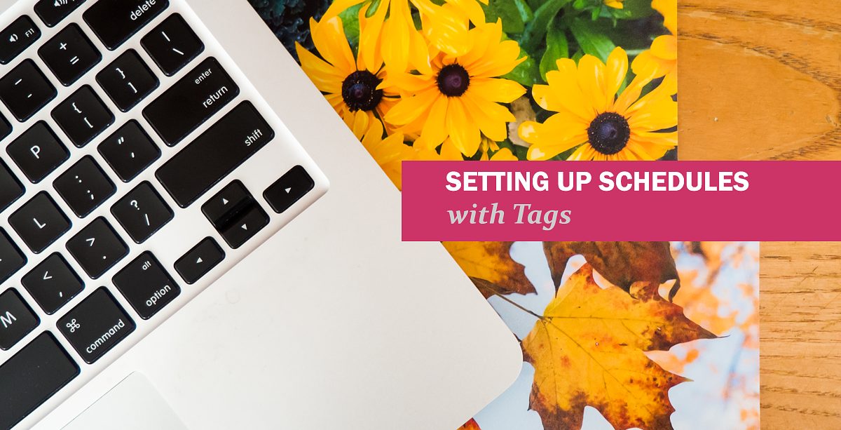Setting up Schedules with Tags