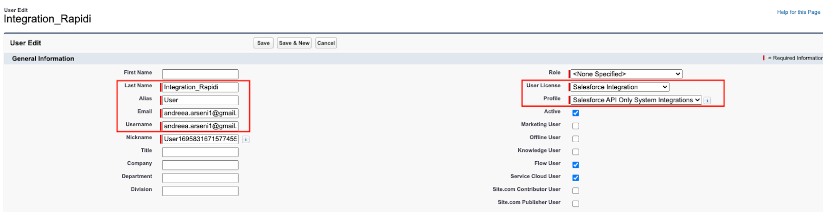 salesforce api only system integration
