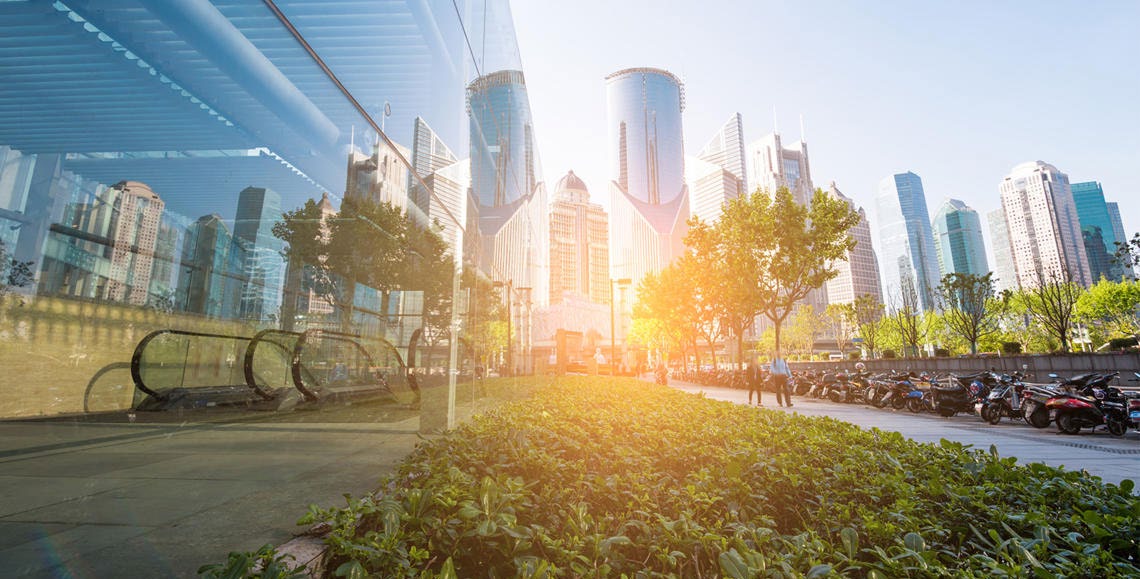 Un perfil urbano al amanecer, con vegetaci&oacute;n y &aacute;rboles en primer plano